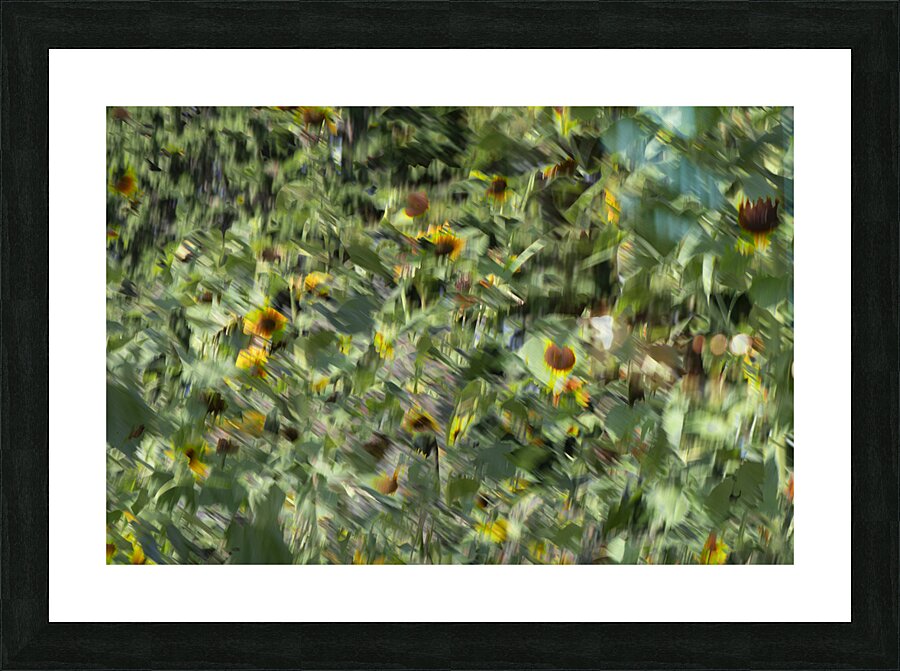 20240820 93 Picture Frame print