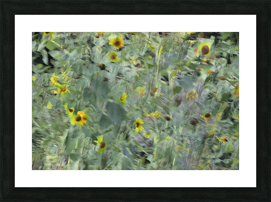 20240820 70 Picture Frame print
