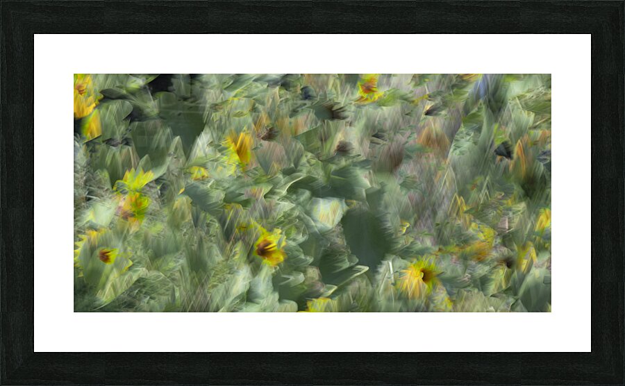 20240820 99 Picture Frame print