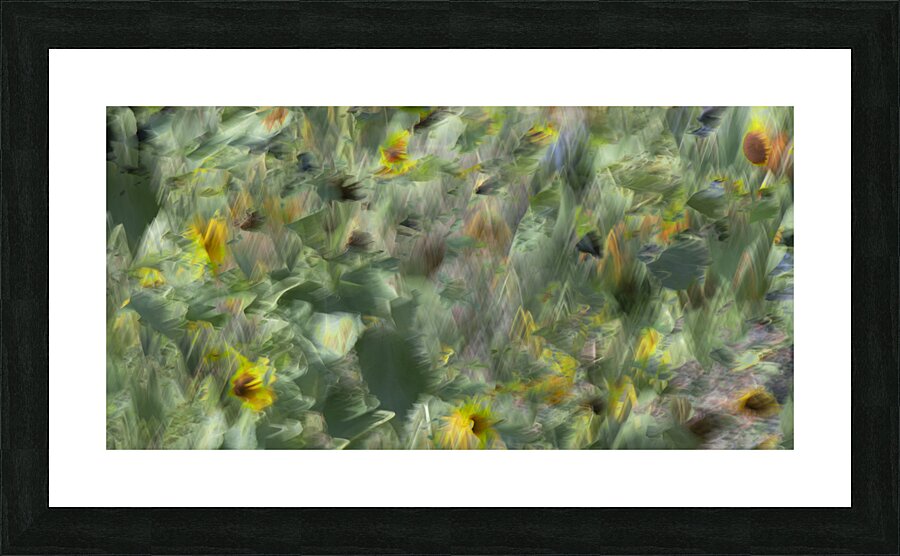 20240820 99 2 Picture Frame print