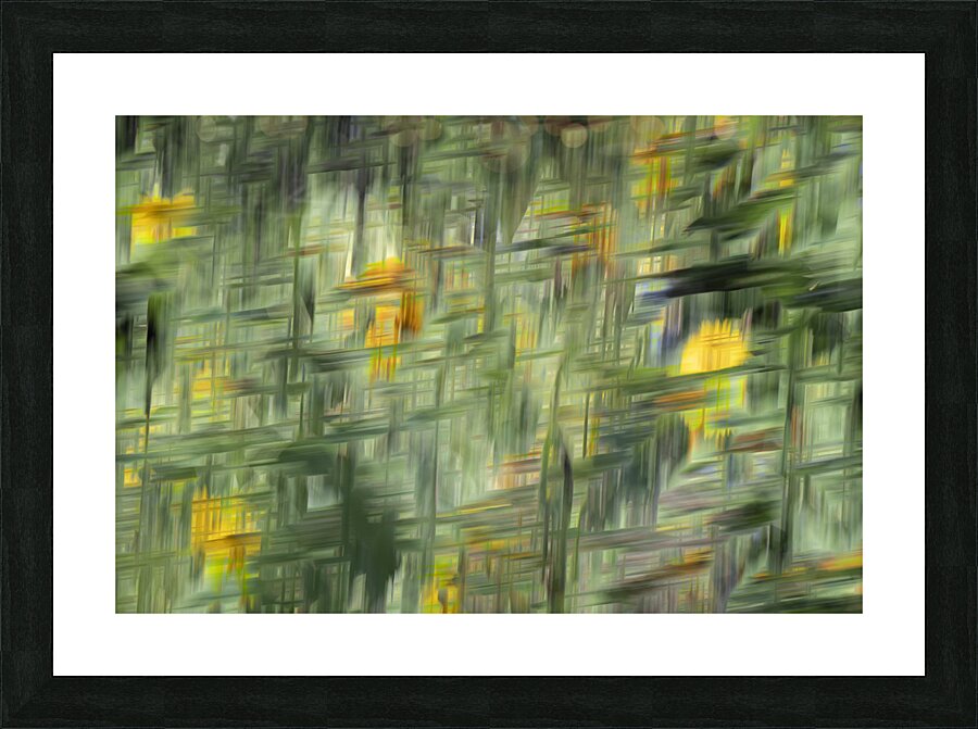 20240820 53 Picture Frame print