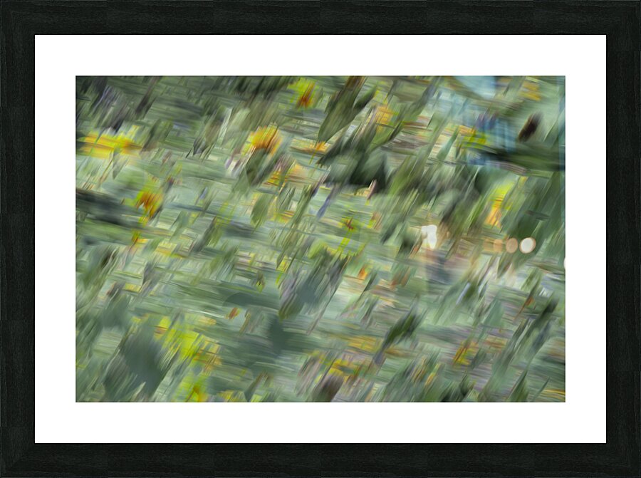 20240820 73 Picture Frame print