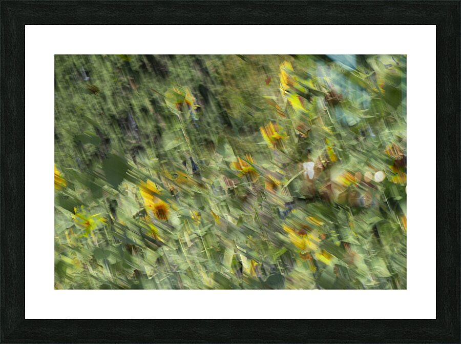 20240820 60 Picture Frame print