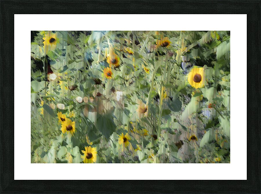 20240820 72 Picture Frame print