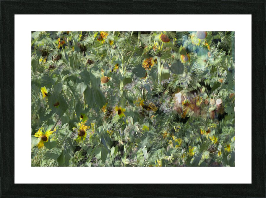 20240820 115 Picture Frame print