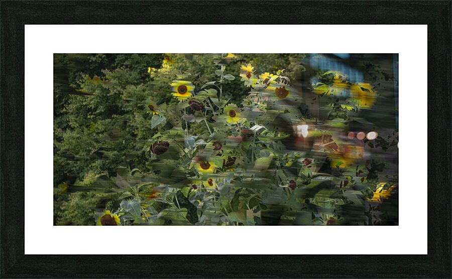 20240820 145 Picture Frame print