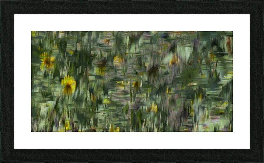20240820 243 2 Picture Frame print