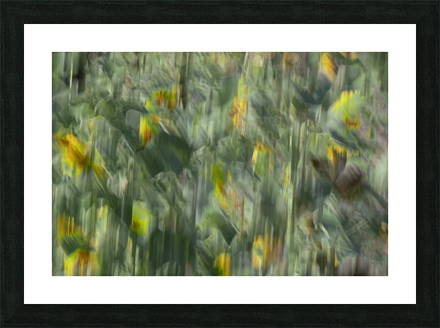 20240820 227 Picture Frame print