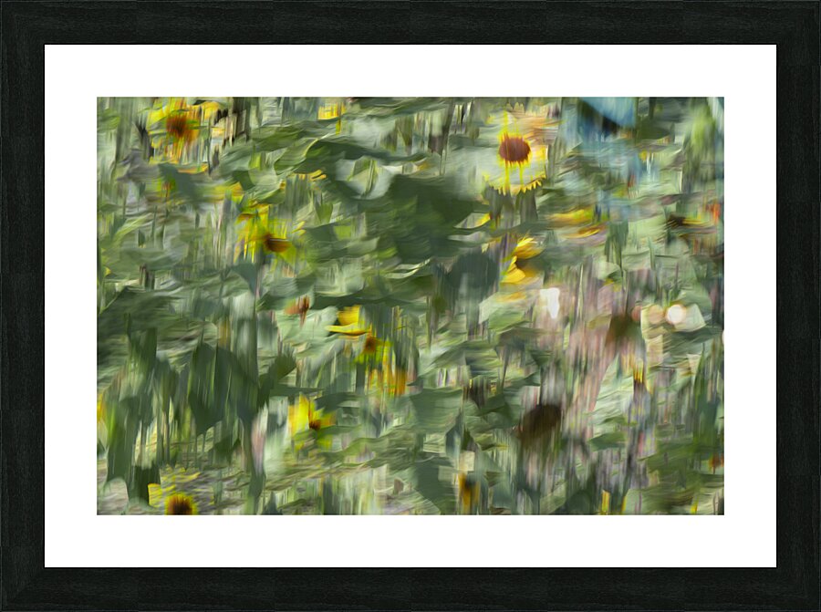 20240820 232 Picture Frame print