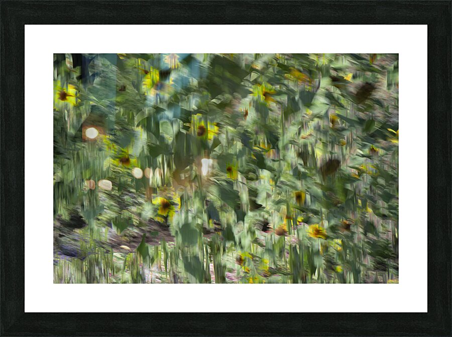 20240820 234 Picture Frame print