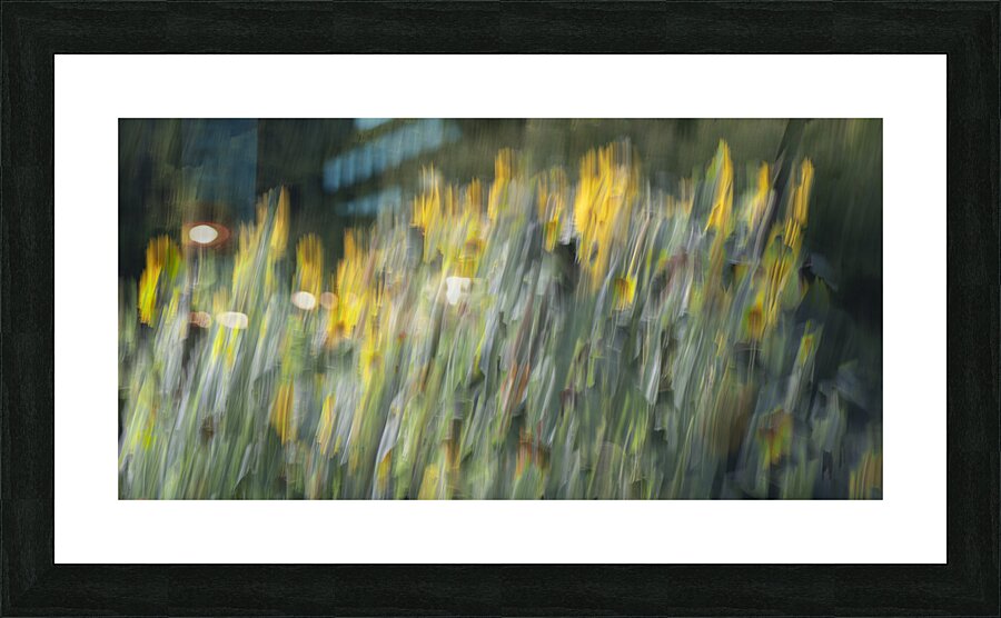 20240820 125 Picture Frame print