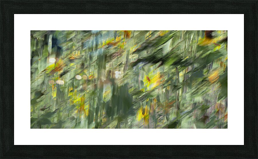 20240820 105 Picture Frame print