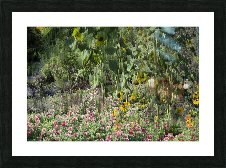 20240820 246 Picture Frame print
