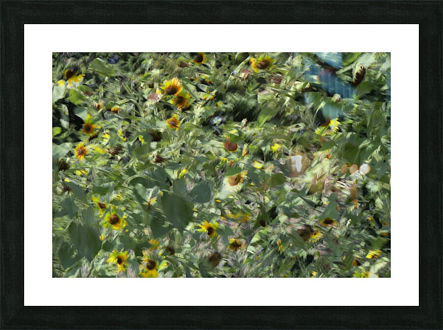 20240820 108 Picture Frame print