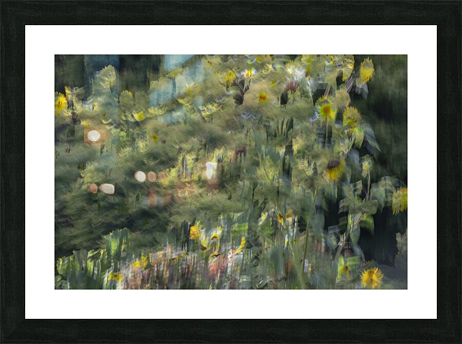 20240820 131 Picture Frame print