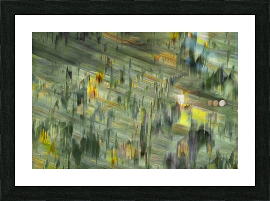 20240820 221 Picture Frame print