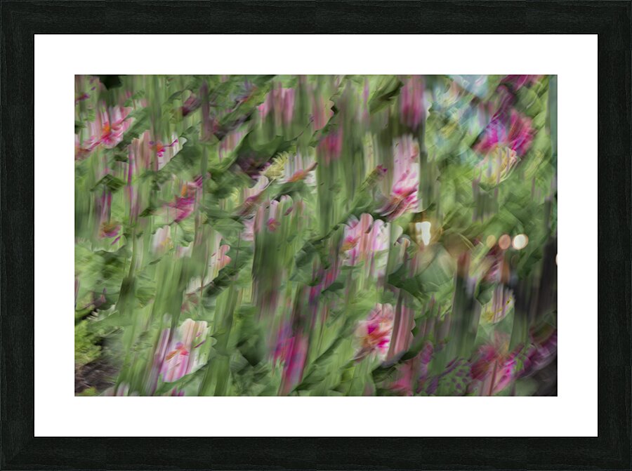 20240820 208 Picture Frame print