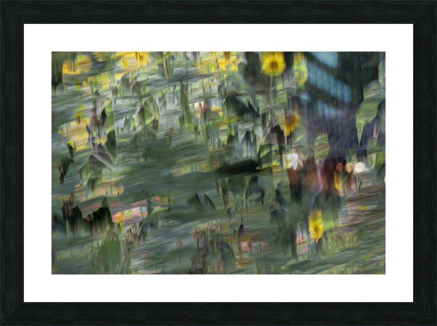 20240820 138 Picture Frame print