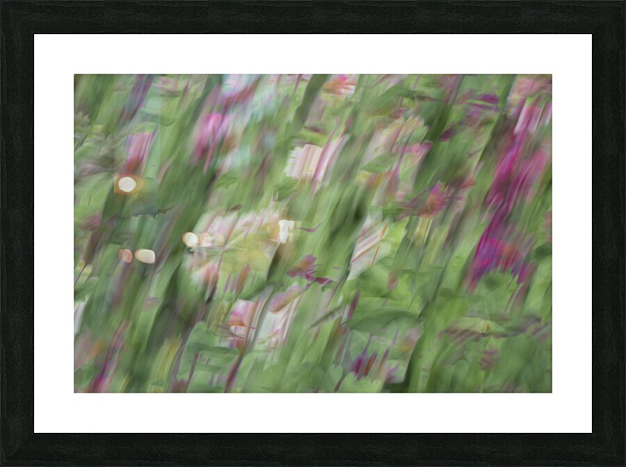 20240820 207 Picture Frame print