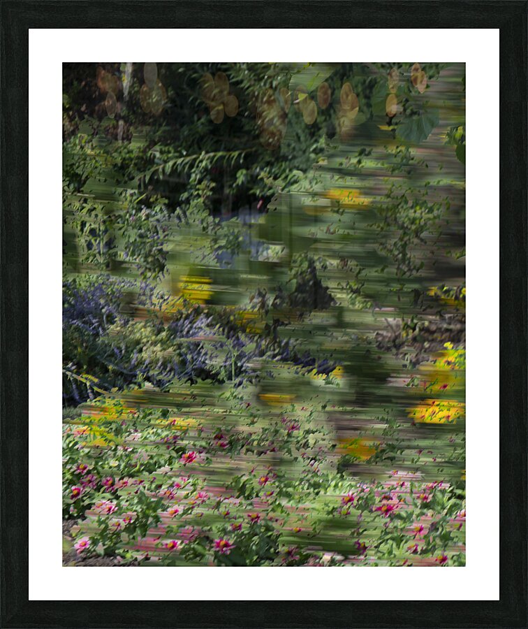 20240820 245 Picture Frame print