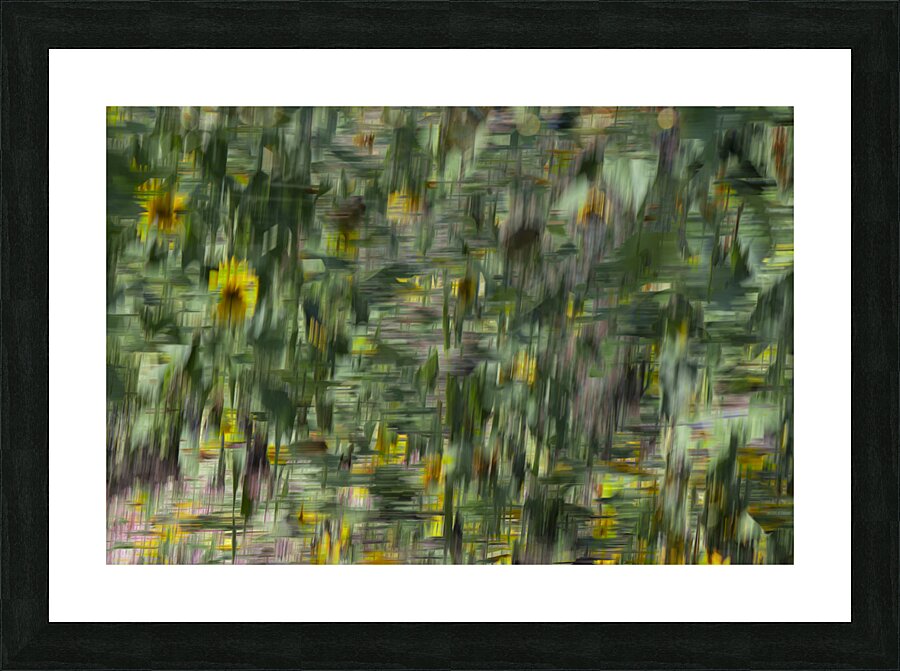 20240820 243 Picture Frame print