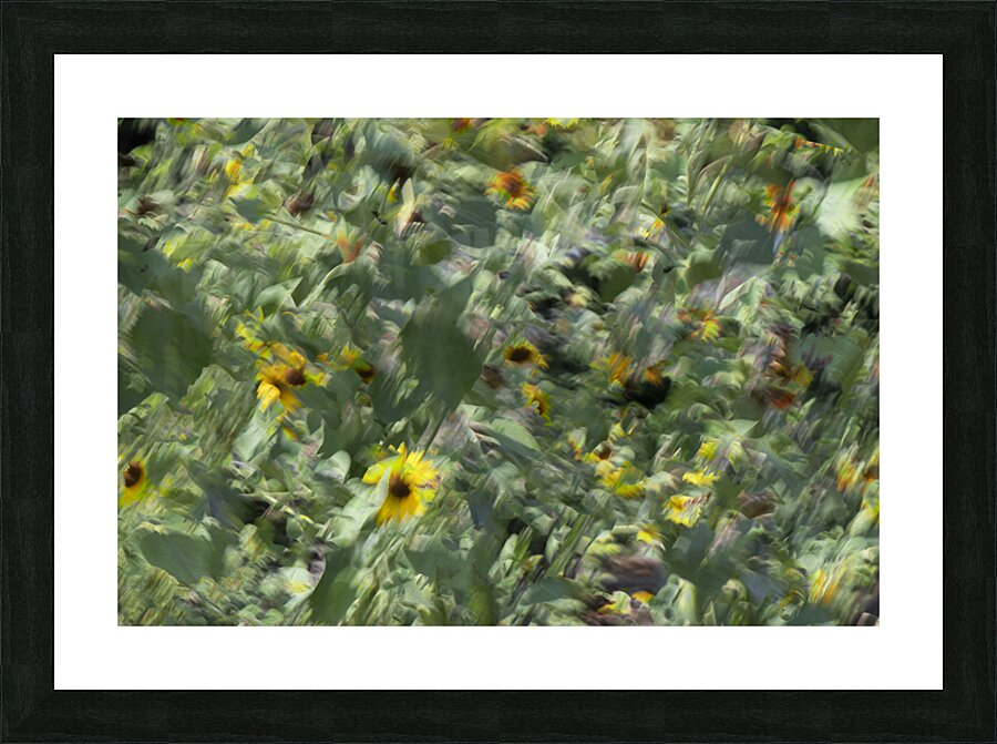 20240820 117 Picture Frame print