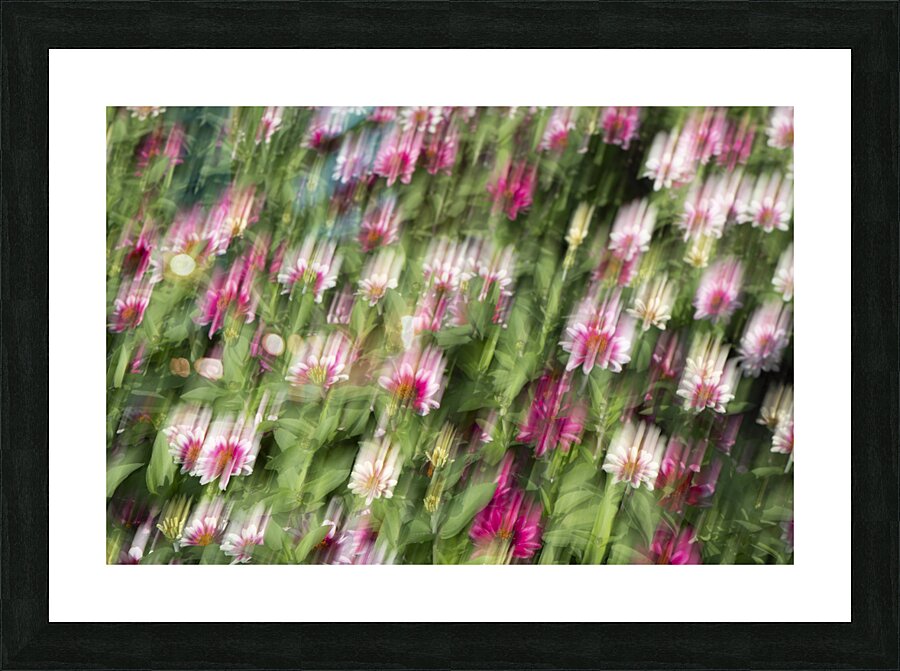 20240820 209 Picture Frame print