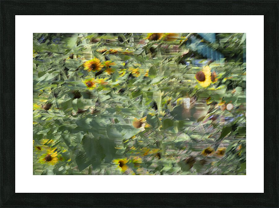20240820 113 Picture Frame print