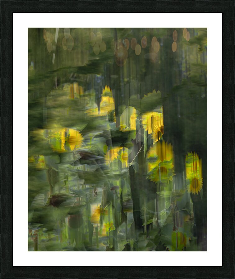 20240820 141 Picture Frame print