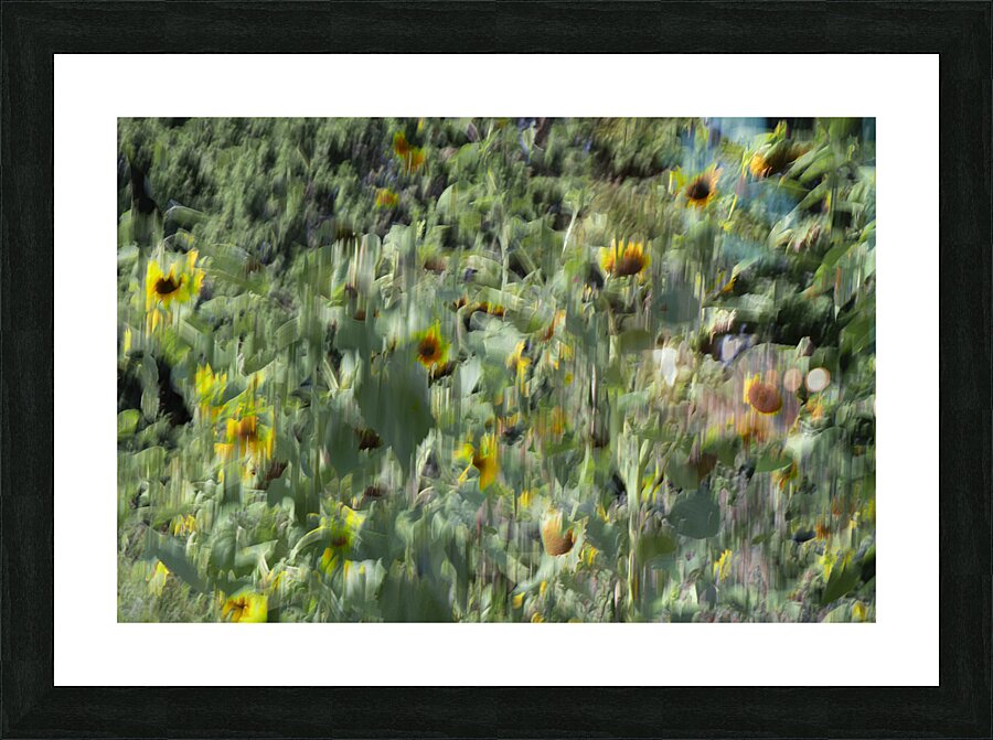 20240820 104 Picture Frame print