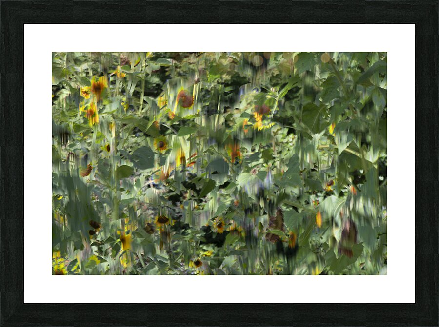20240820 124 Picture Frame print