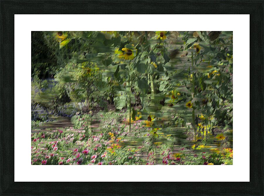 20240820 248 Picture Frame print