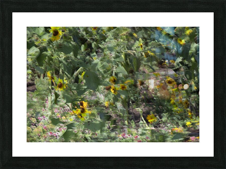 20240820 119 Picture Frame print