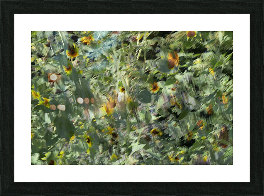 20240820 114 Picture Frame print