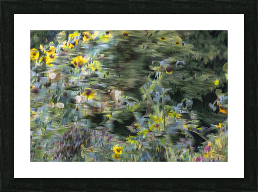 20240820 290 Picture Frame print