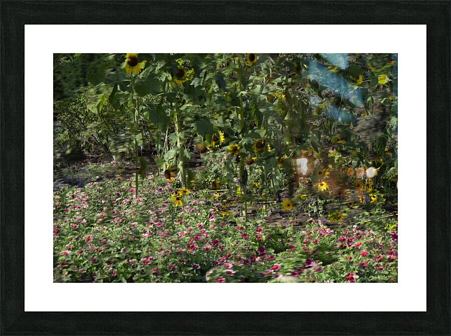 20240820 259 Picture Frame print