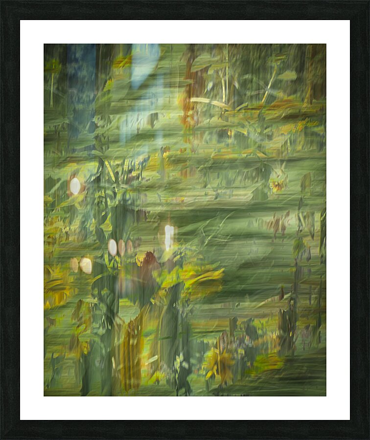 FS240820 1 Picture Frame print