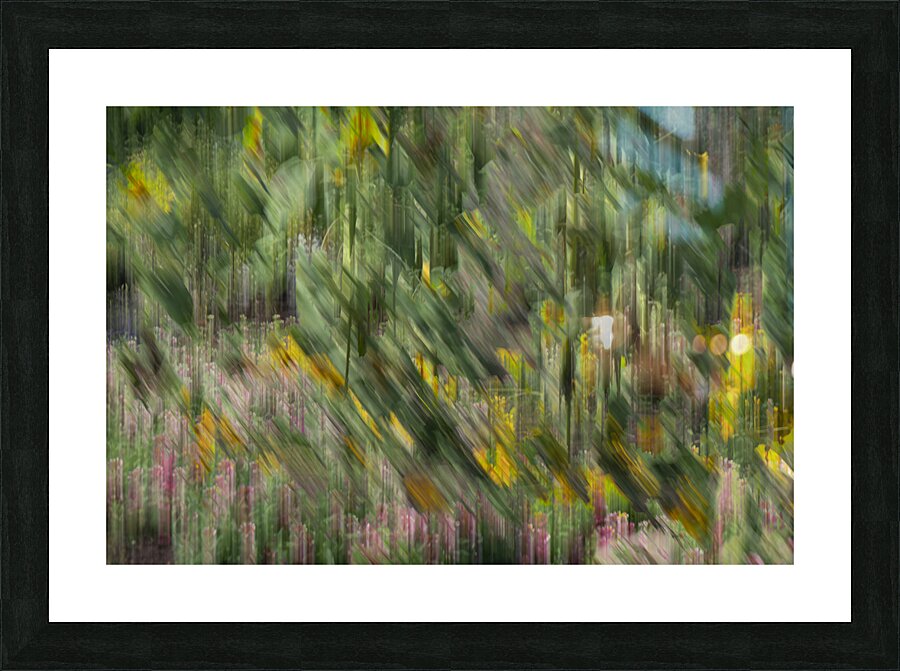 20240820 269 Picture Frame print