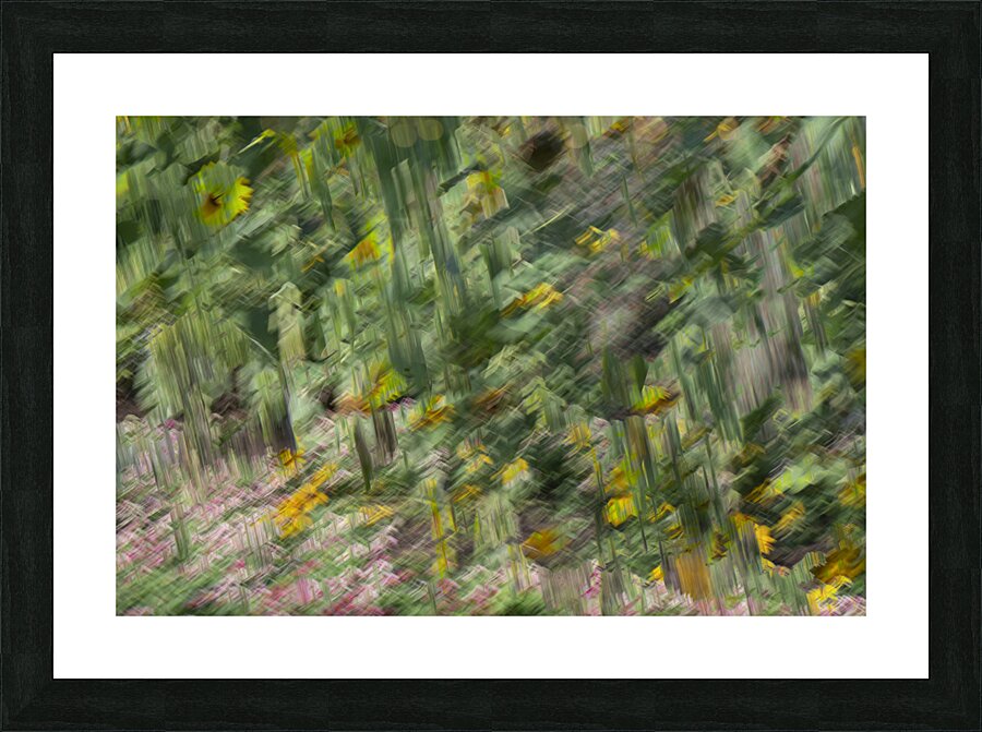 20240820 264 Picture Frame print