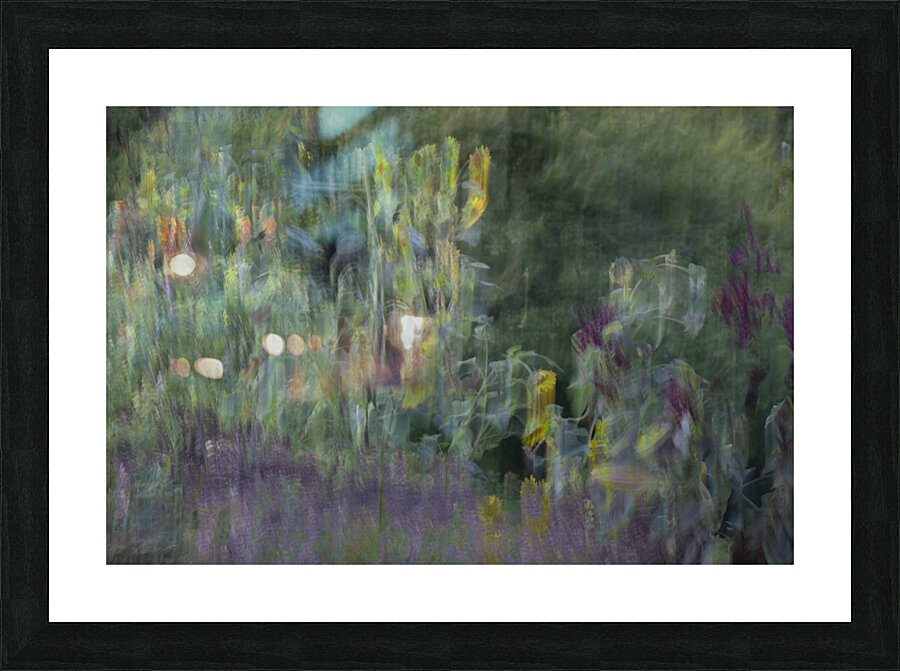 20240820 285 2 Picture Frame print