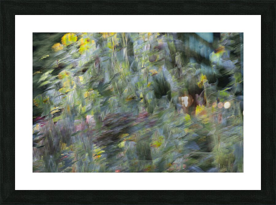 20240820 296 Picture Frame print