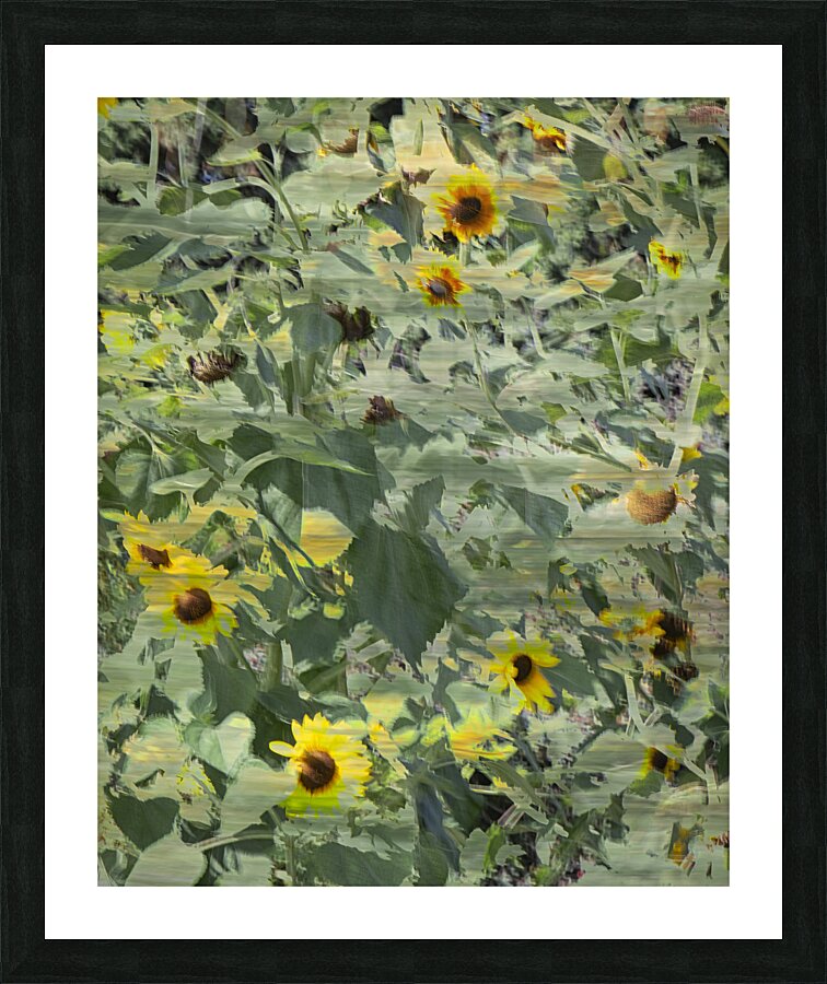 FS240820 2 Picture Frame print