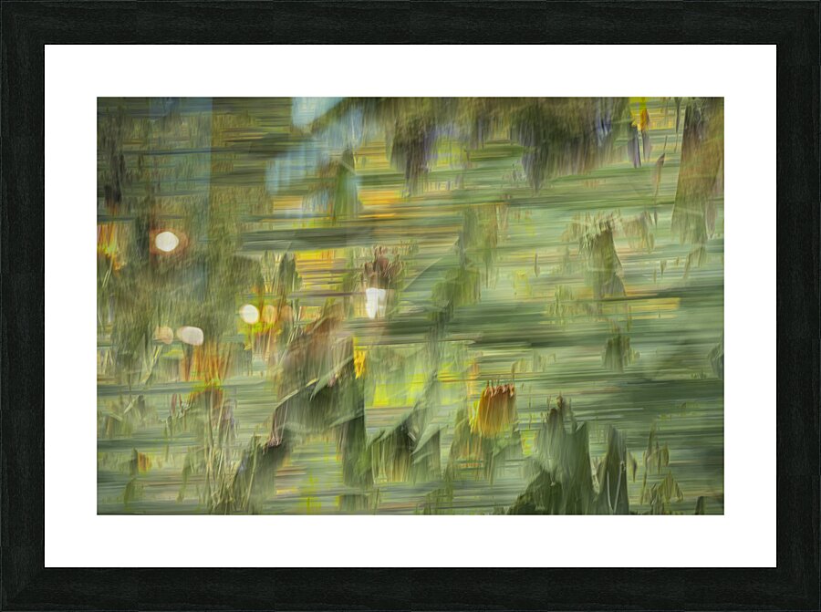 FS240820 4 Picture Frame print