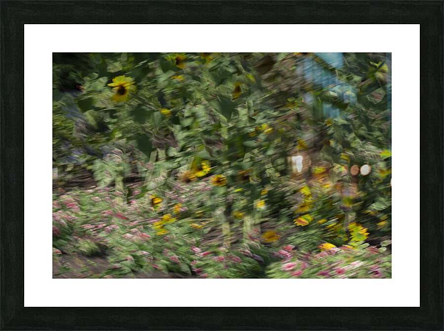 20240820 252 Picture Frame print