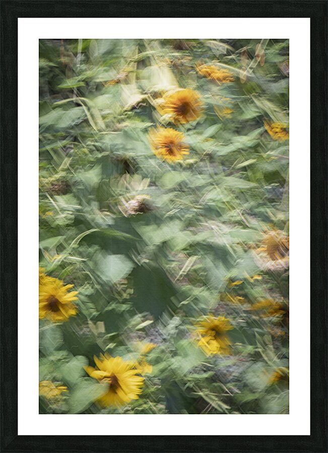 FS240820 10 Picture Frame print