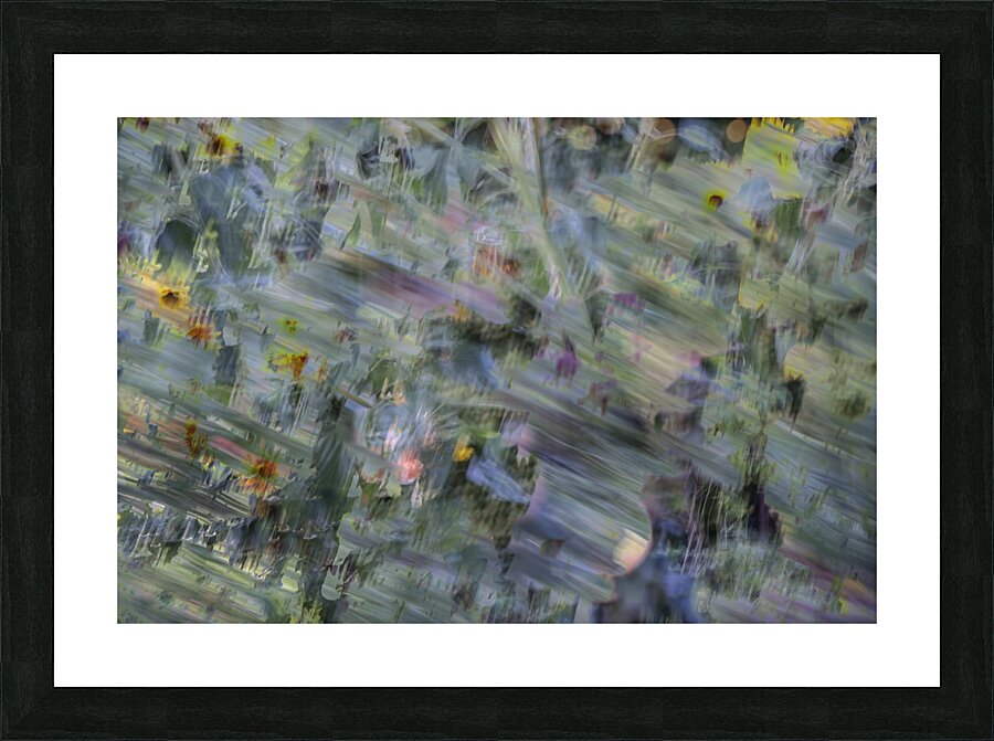20240820 310 Picture Frame print
