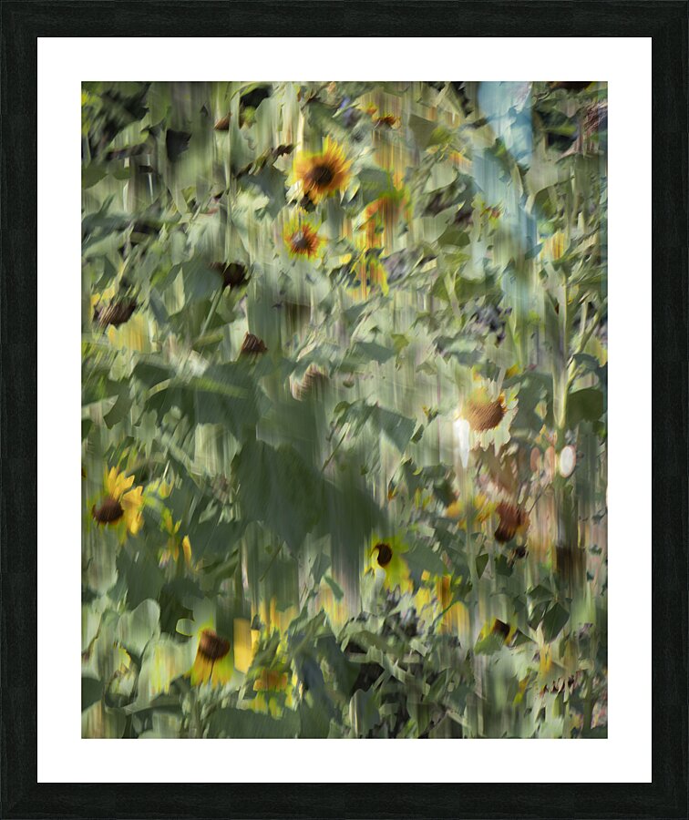 FS240820 14 Picture Frame print