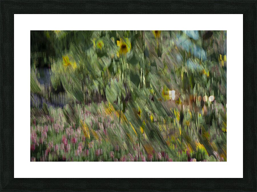 20240820 270 Picture Frame print
