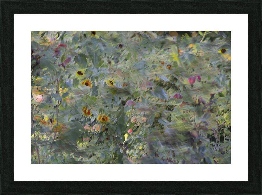 20240820 309 Picture Frame print
