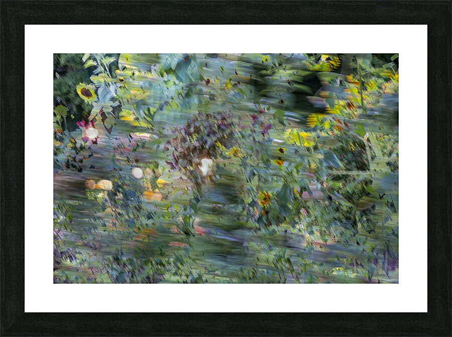 20240820 292 Picture Frame print